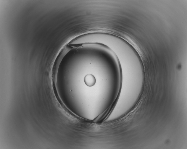 X0000097911283200803211456