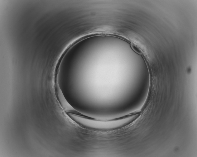 X0000097911288200803211456