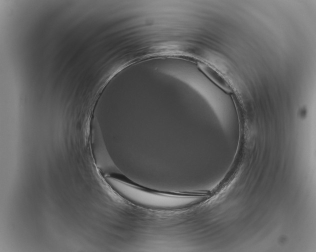 X0000097911289200803211456