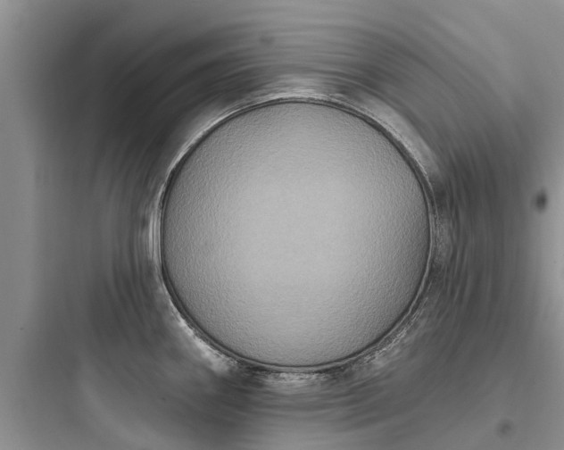 X0000097911290200803211456