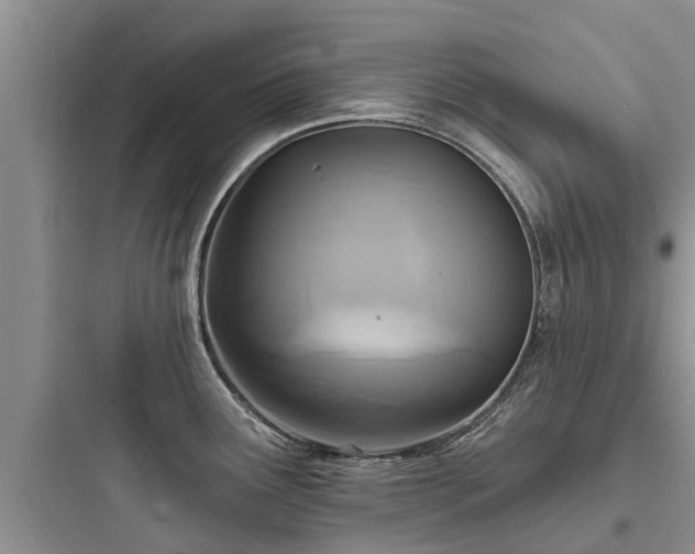 X0000097911291200803211456