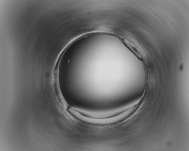 X0000097911292200803211456