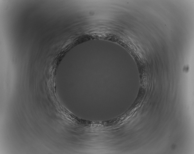 X0000097911297200803211455