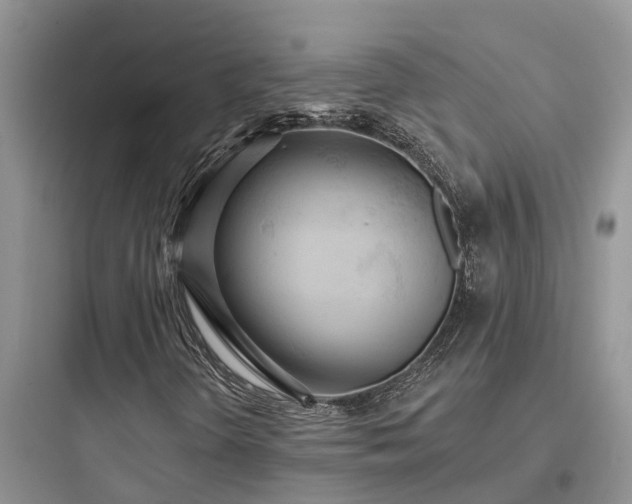 X0000097911298200803211455