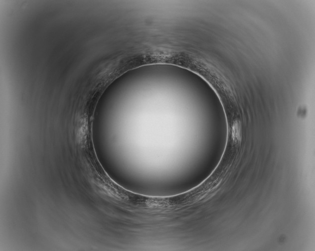 X0000097911299200803211455