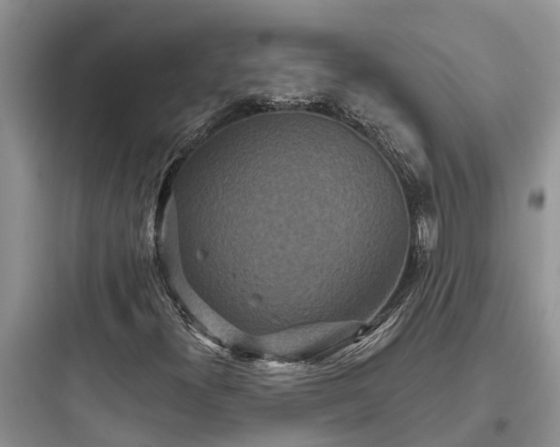 X0000097911300200803211455