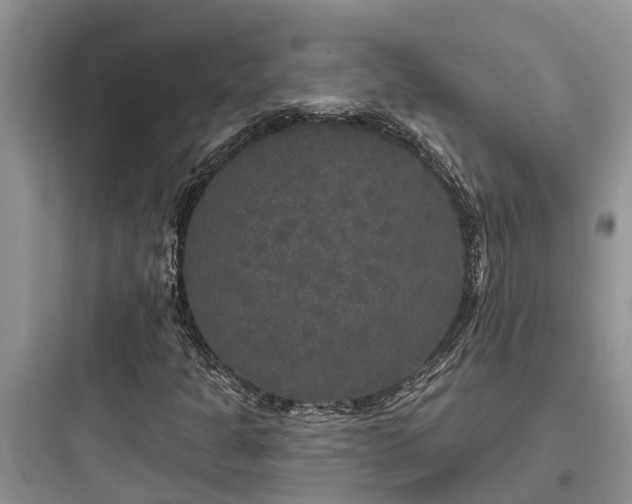 X0000097911301200803211455