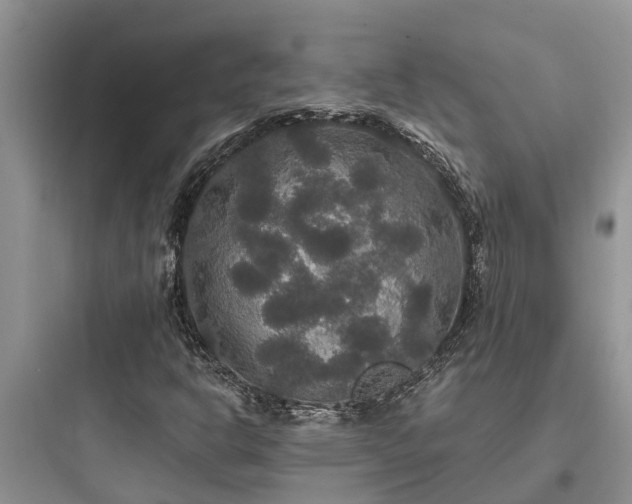 X0000097911302200803211455