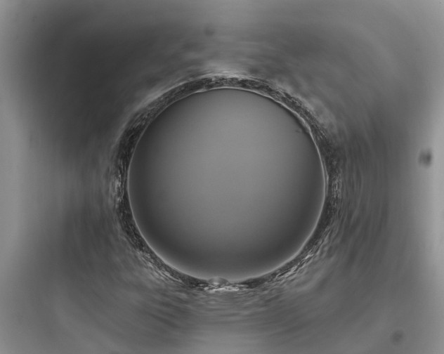 X0000097911303200803211455