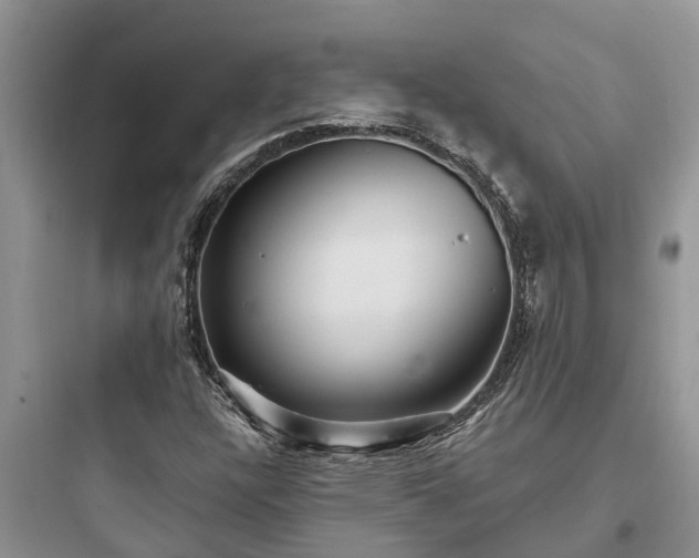 X0000097911304200803211455