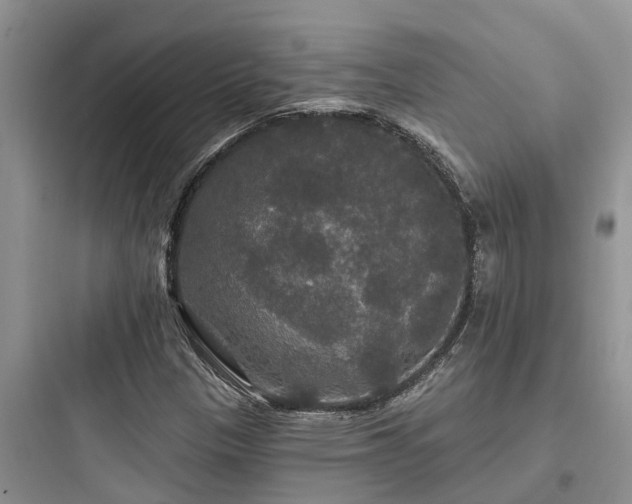 X0000097911305200803211455