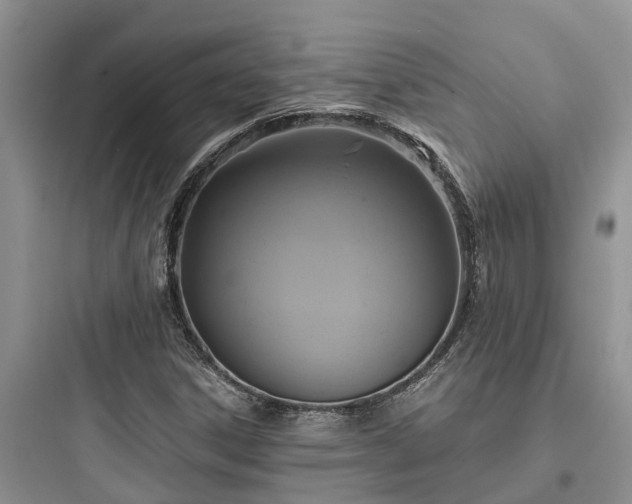 X0000097911306200803211455