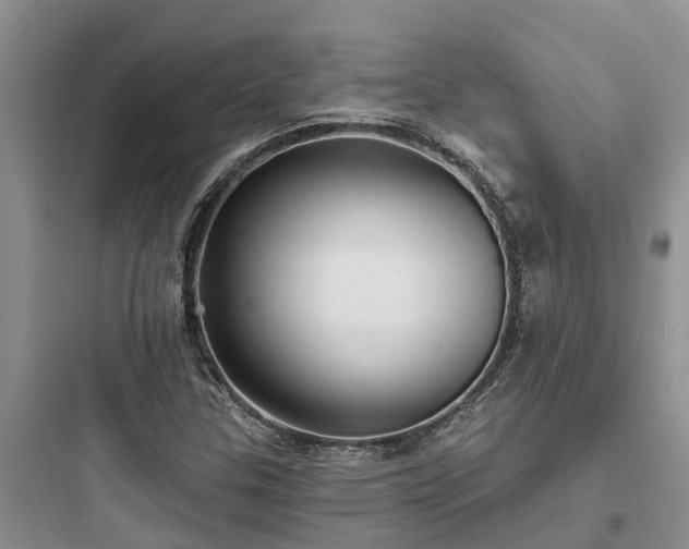 X0000097911307200803211455