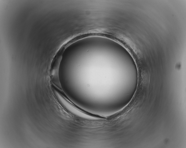 X0000097911308200803211455