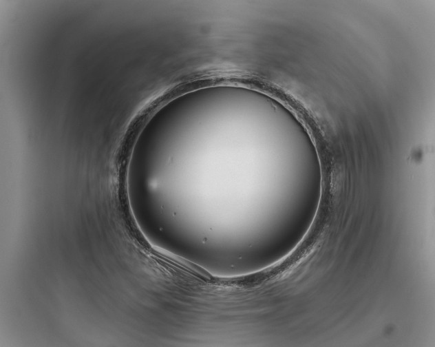 X0000097911309200803211455