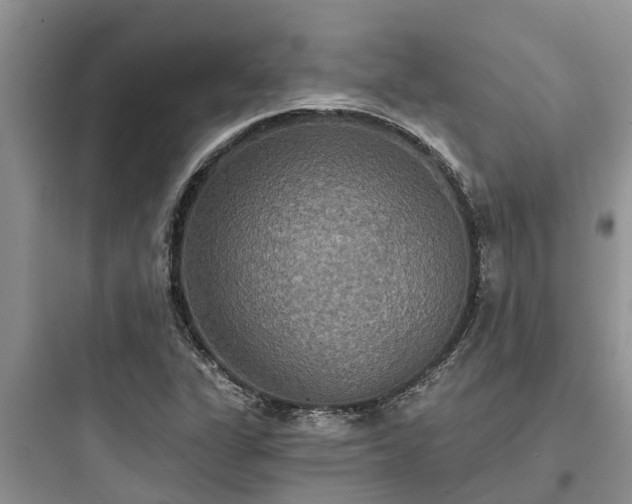 X0000097911311200803211455