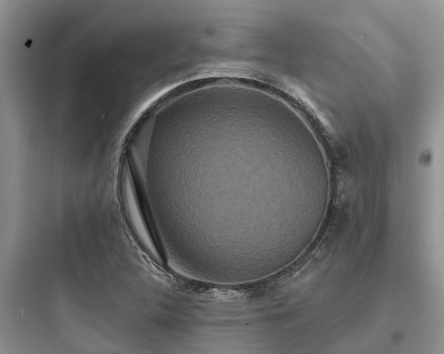 X0000097911312200803211455