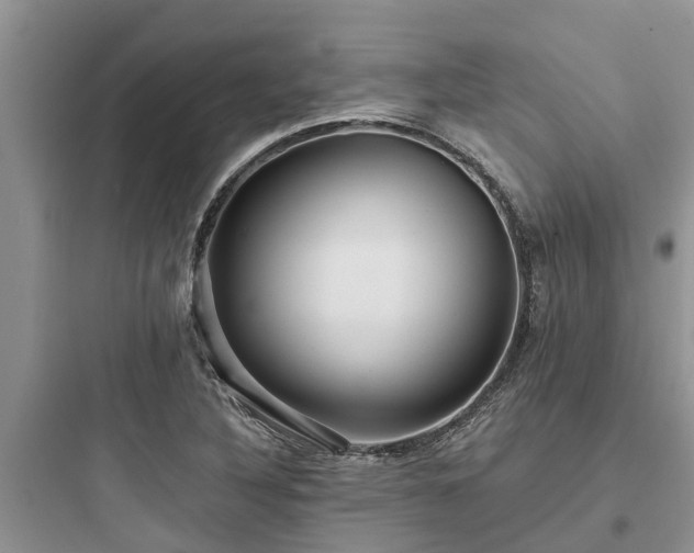 X0000097911316200803211455