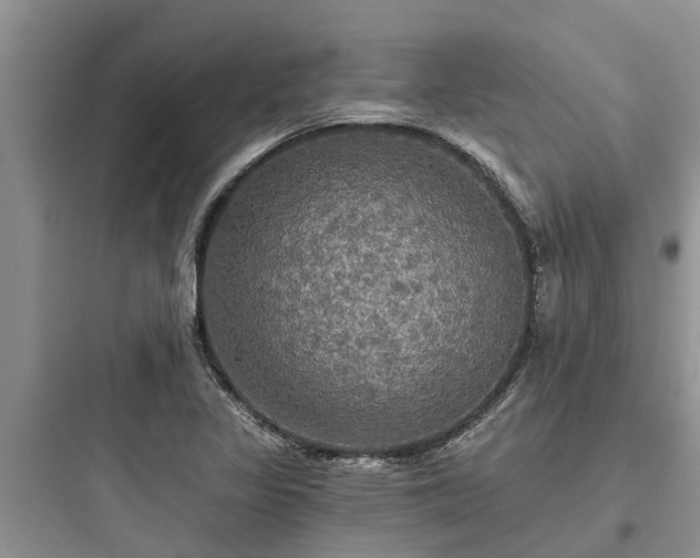 X0000097911317200803211455