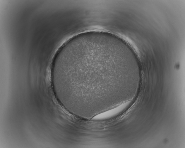 X0000097911318200803211455