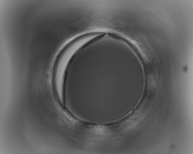 X0000097911319200803211455