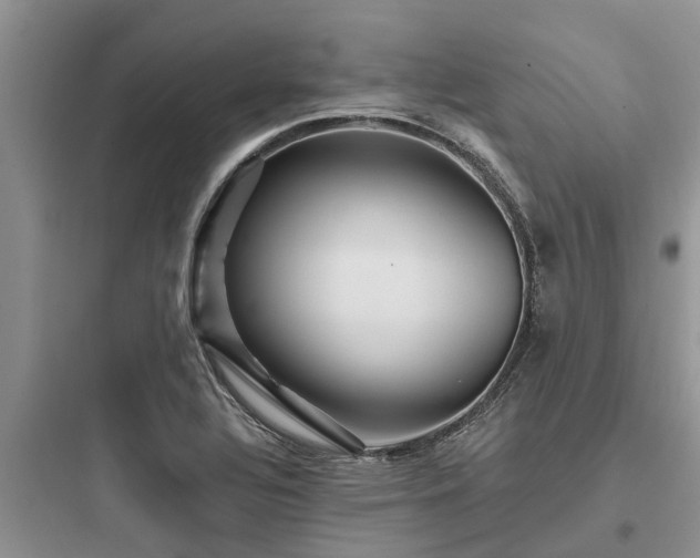 X0000097911320200803211455