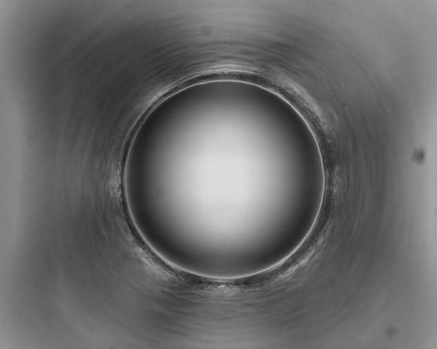 X0000097911321200803211455