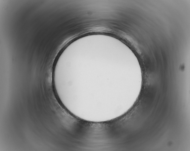 X0000097911322200803211455