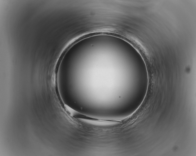 X0000097911324200803211455