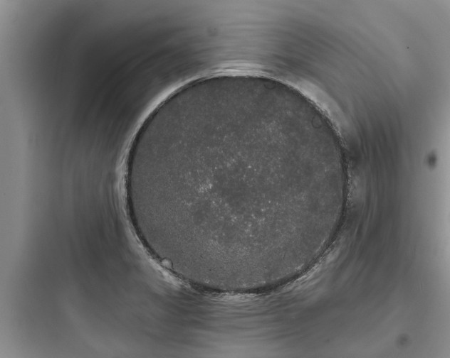 X0000097911325200803211455