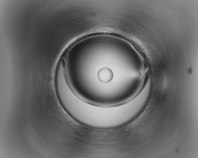 X0000097911326200803211455