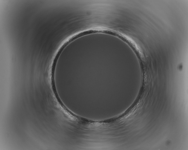 X0000097911327200803211455