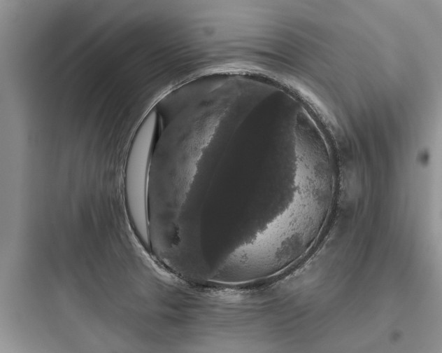 X0000097911329200803211455