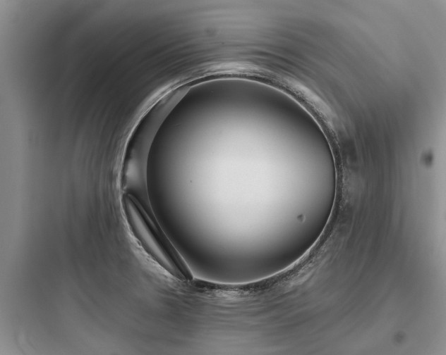 X0000097911330200803211455