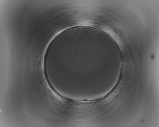 X0000097911331200803211455