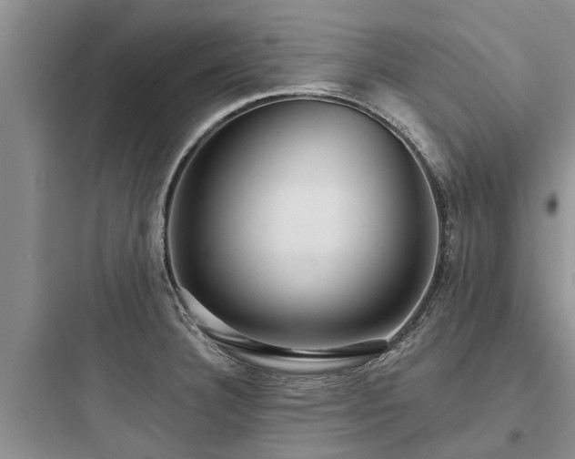 X0000097911332200803211455