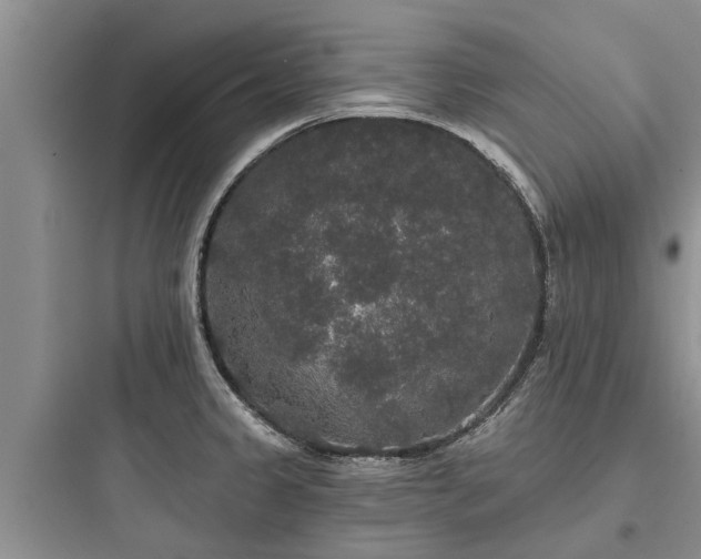 X0000097911333200803211456