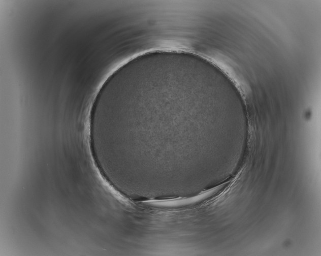 X0000097911335200803211456