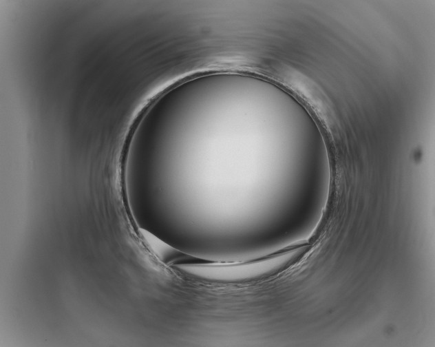 X0000097911336200803211456