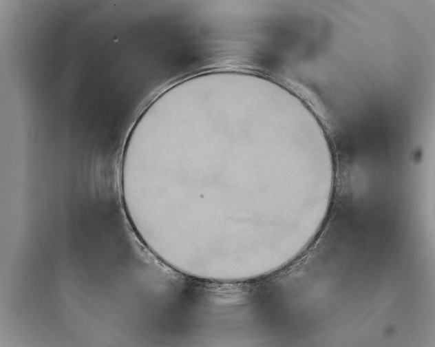 X0000097911338200803211456