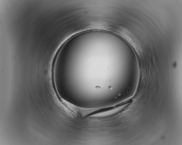 X0000097911339200803211456