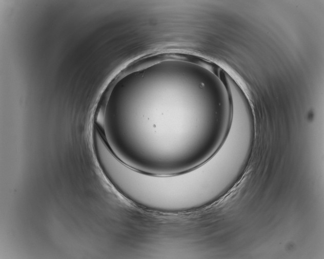 X0000097911341200803211456