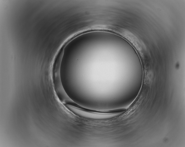 X0000097911342200803211456