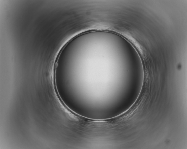 X0000097911343200803211456