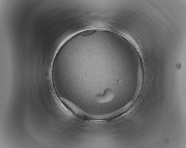 X0000097911344200803211456