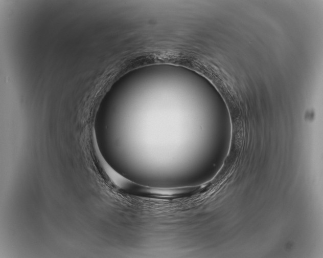 X0000097911345200803211455