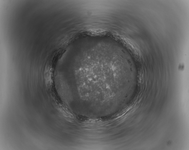 X0000097911346200803211455