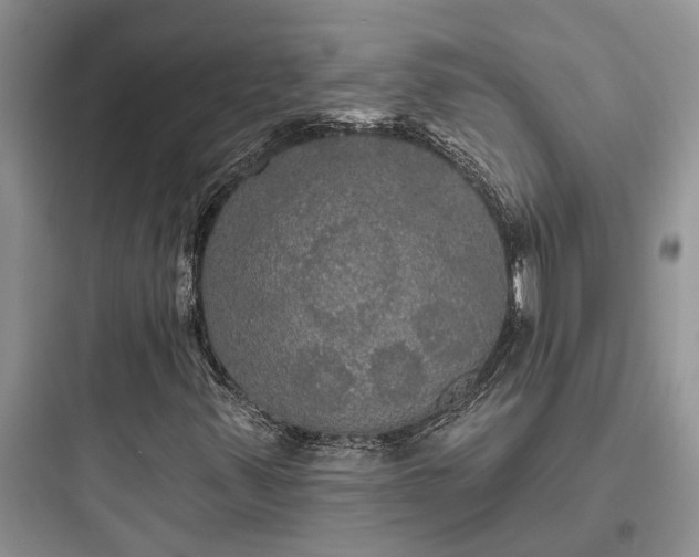 X0000097911347200803211455