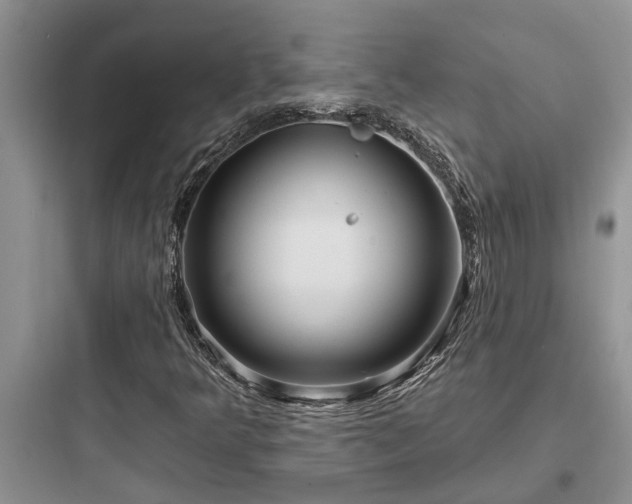 X0000097911349200803211455