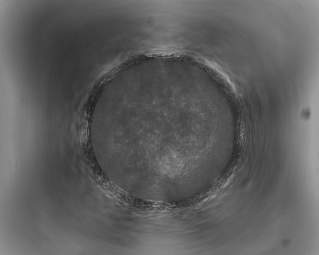 X0000097911350200803211455